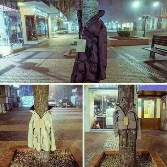 ¿Por qué en algunos países se cuelgan chaquetas en los árboles en invierno?
